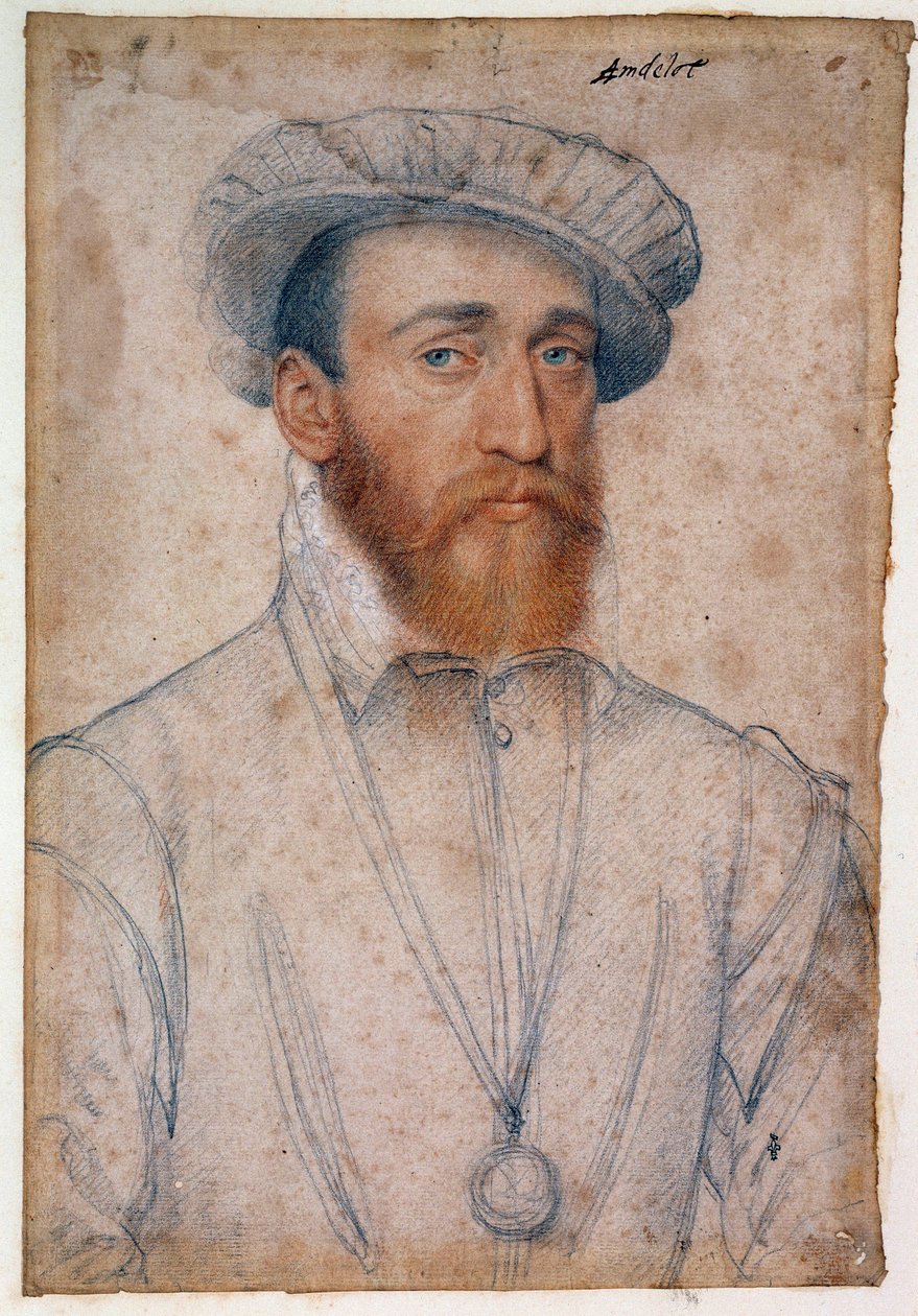 Portrait of Francois de Coligny, Lord of Andelot by François Clouet