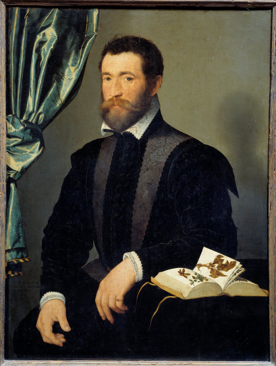 Portrait of the Apothecary Pierre Quthe (1519-ca1588) by François Clouet