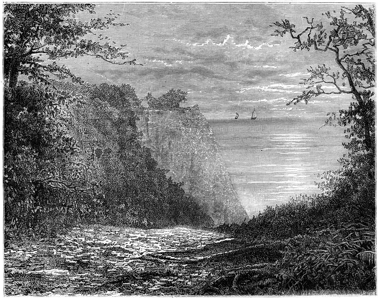 The Chalk Cliffs at the Königsstuhl, Rügen, Germany by Francois Stroobant