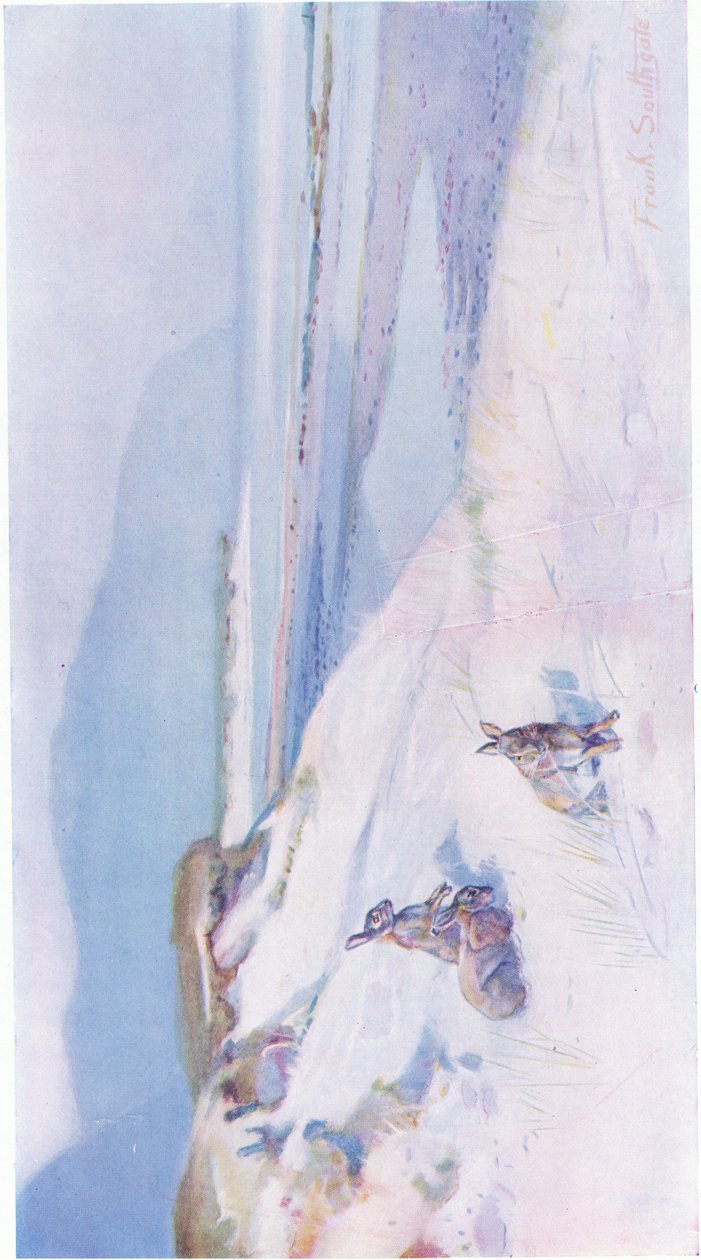 On the Edge of the Saltings by Frank Southgate