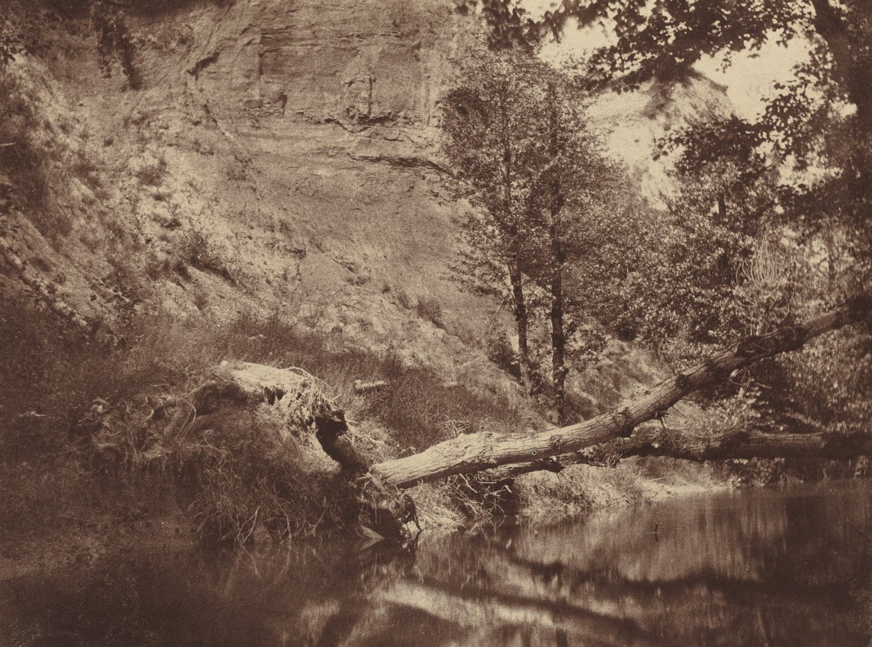 Riverbank, c. 1855 by Frank Chauvassaigne