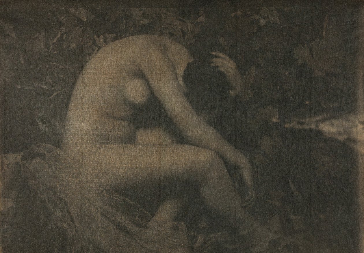 The Cicada, 1898 by Frank Eugene
