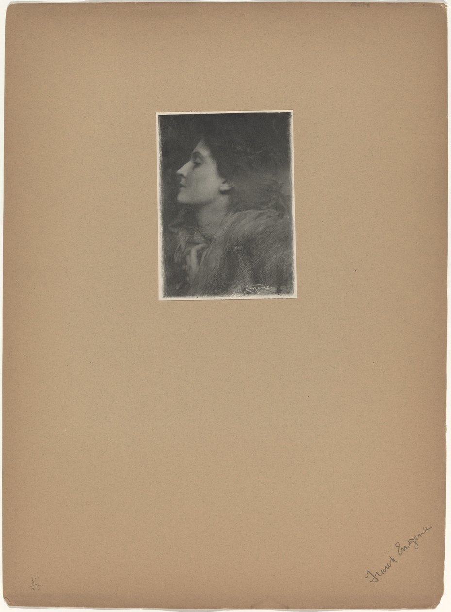 Lady of Charlotte by Frank Eugene