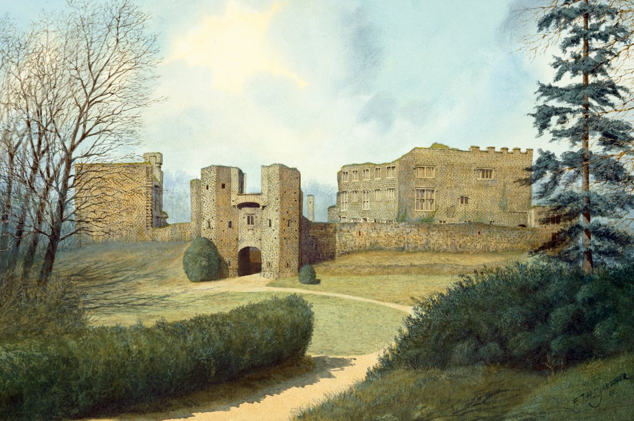 Berry Pomeroy Castle, 15th century by Frank Gardiner