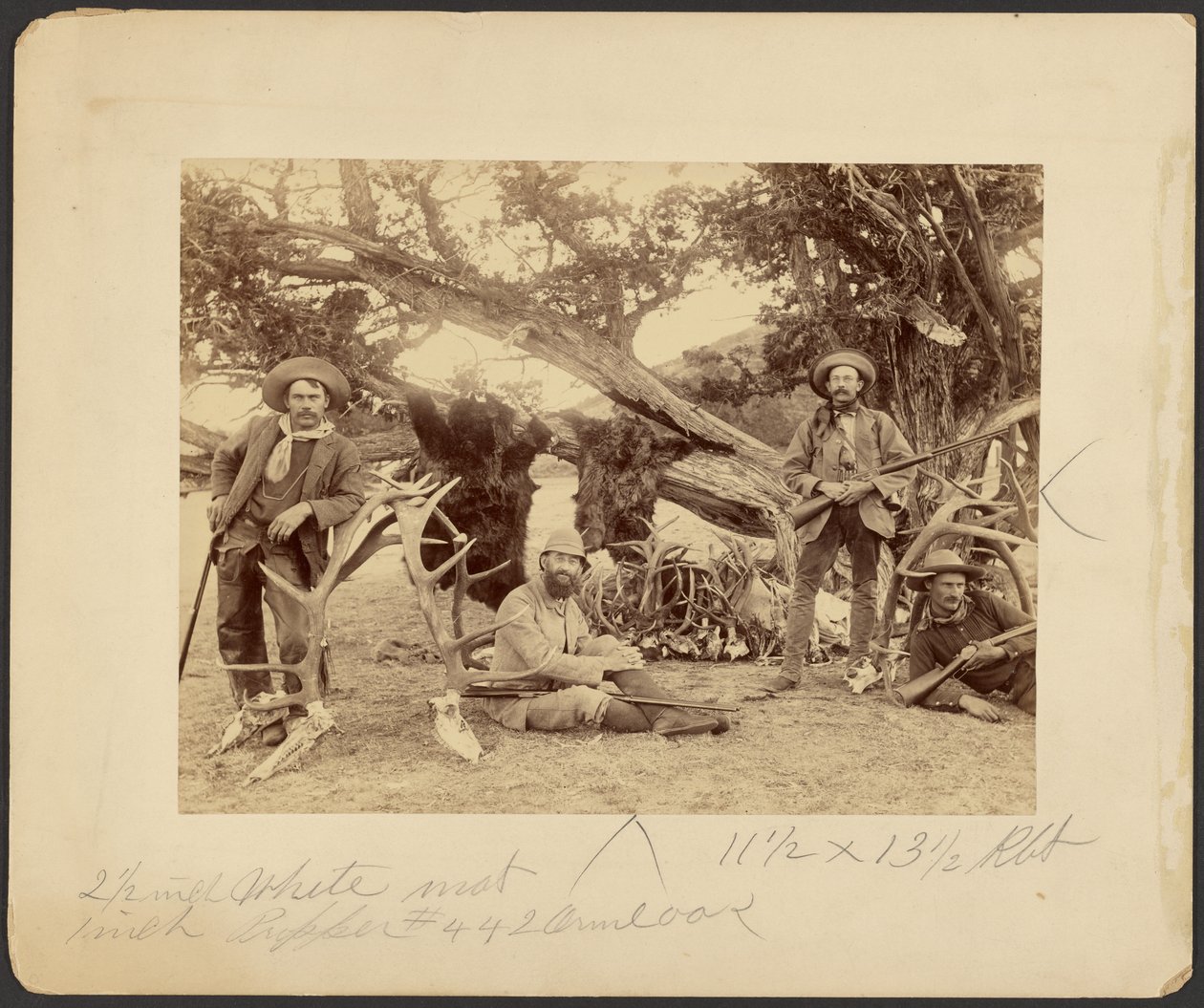 Lispenard Stewart Party, #6 - 5th Ave., N.Y. with Trophies by Old Cedar Tree, Mammoth Hot Springs, Yellowstone National Park by Frank Jay Haynes
