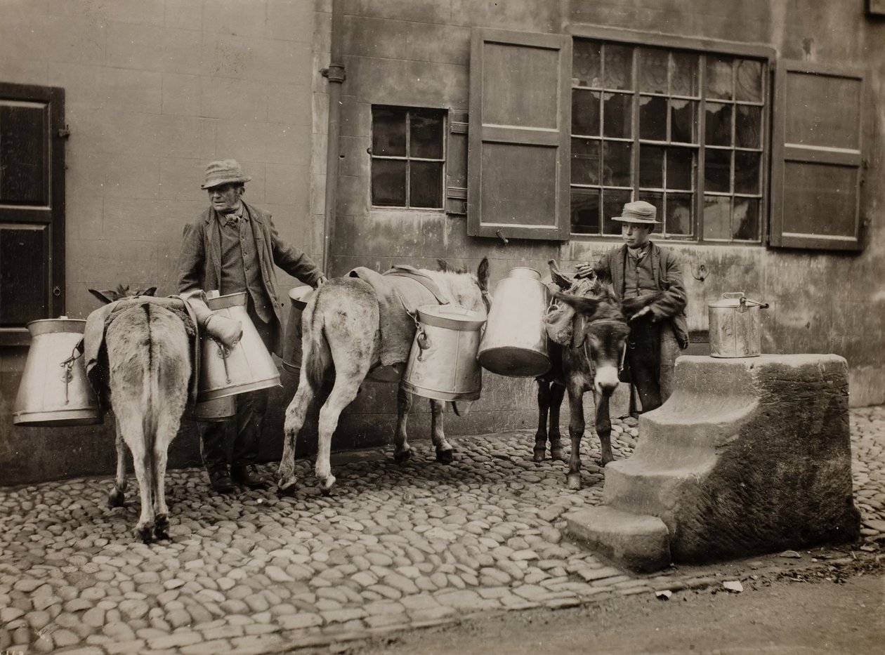 Milk Donkeys by Frank Meadow Sutcliffe