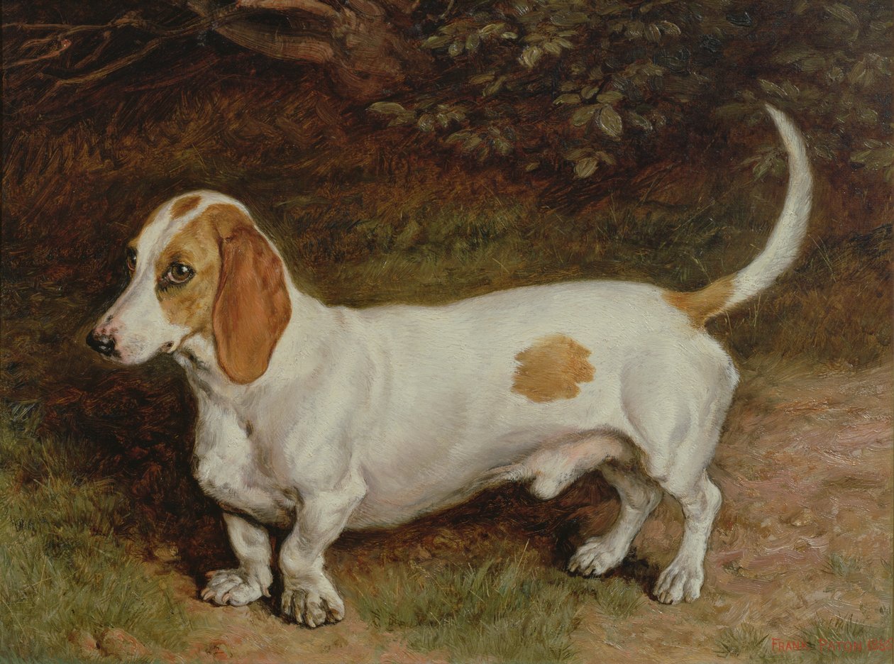 My Favourite Dachshund by Frank Paton