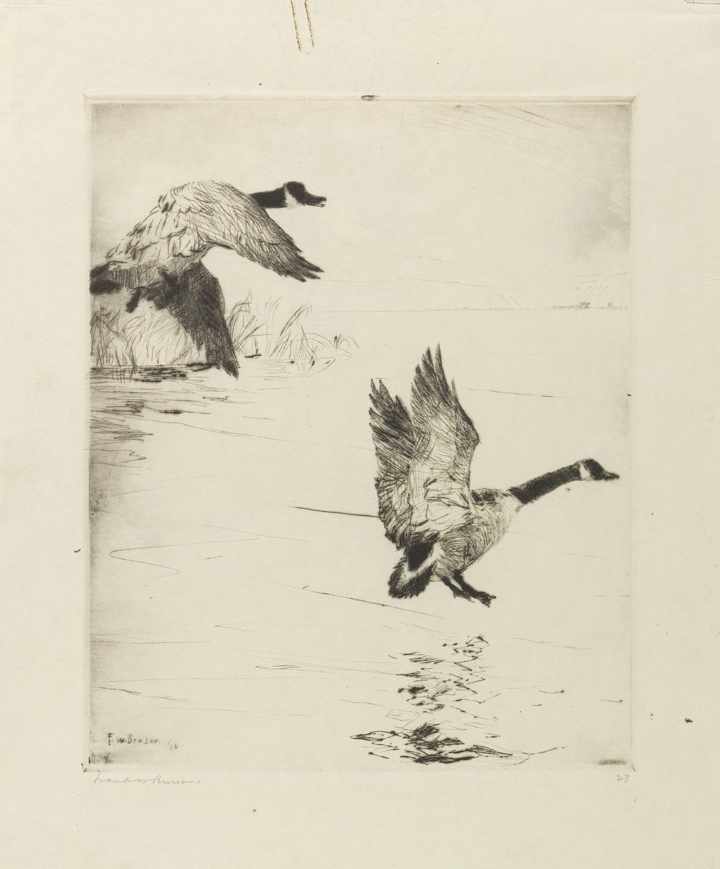 Geese Alighting by Frank Weston Benson