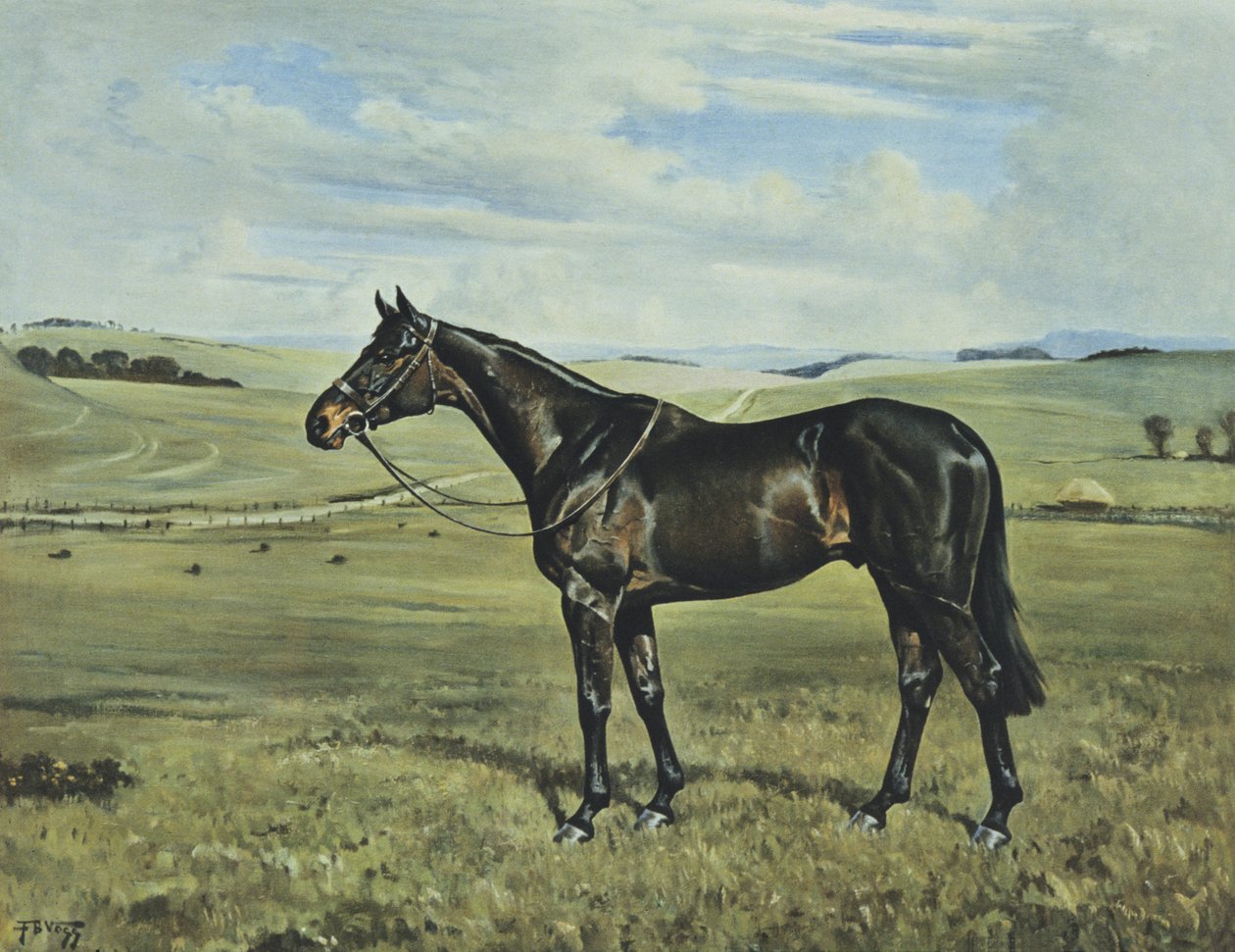 Drimore Lad by Franklin Brooke Voss