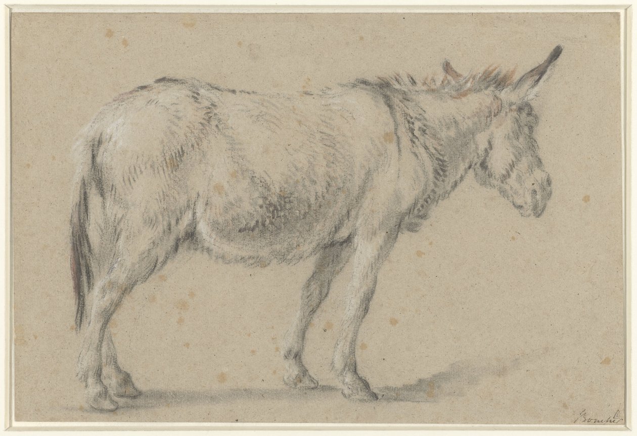 Standing Donkey, Facing Right by François Boucher (possibly)