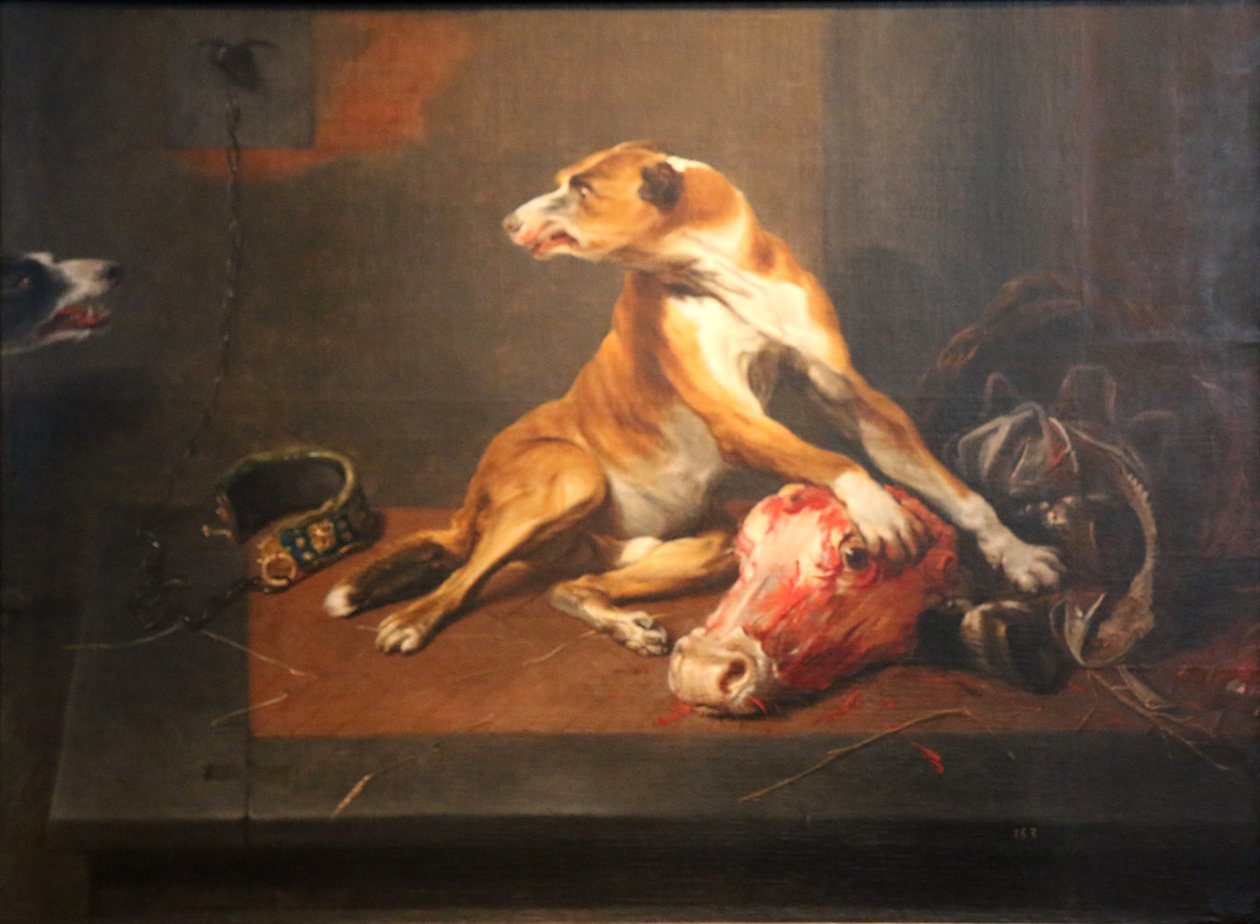 Two Dogs in a Pantry by Frans Snyders or Snijders