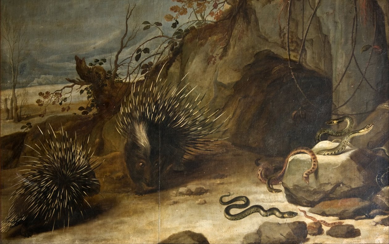 Porcupines and Vipers by Frans Snyders or Snijders