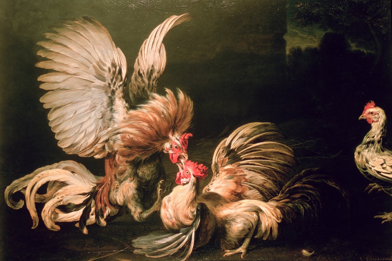 Fighting Cocks by Frans Snyders or Snijders