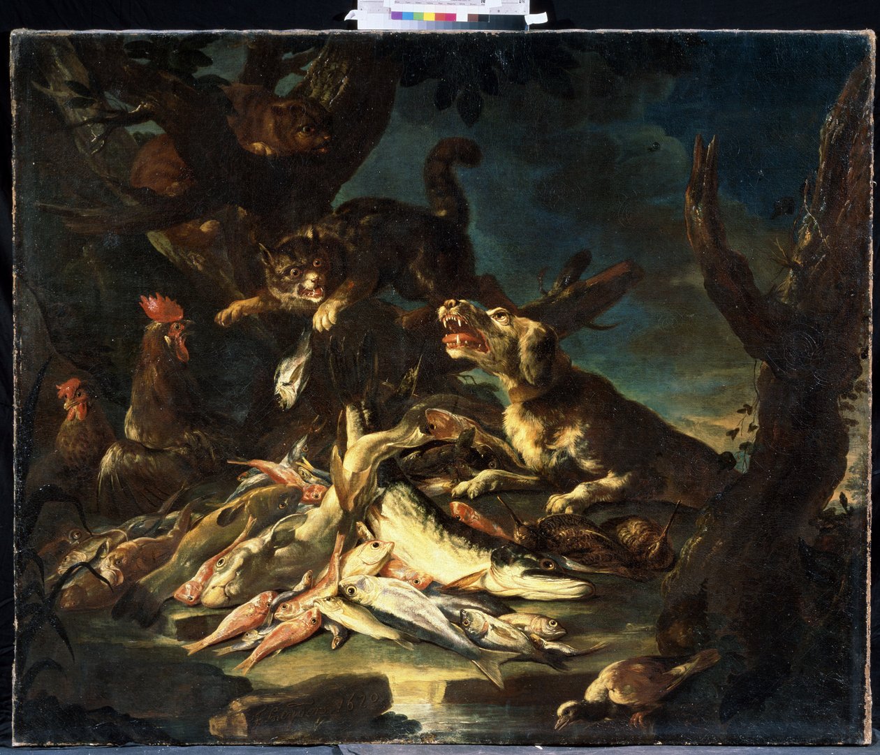 Fish by Frans Snyders or Snijders