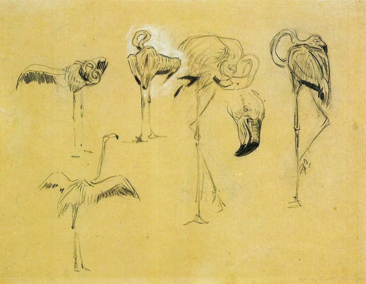 Flamingos by Franz Marc