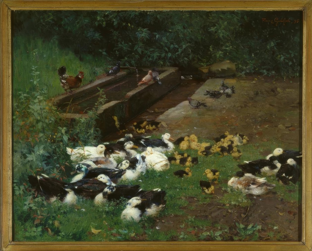 Duck Families by Franz Grassel