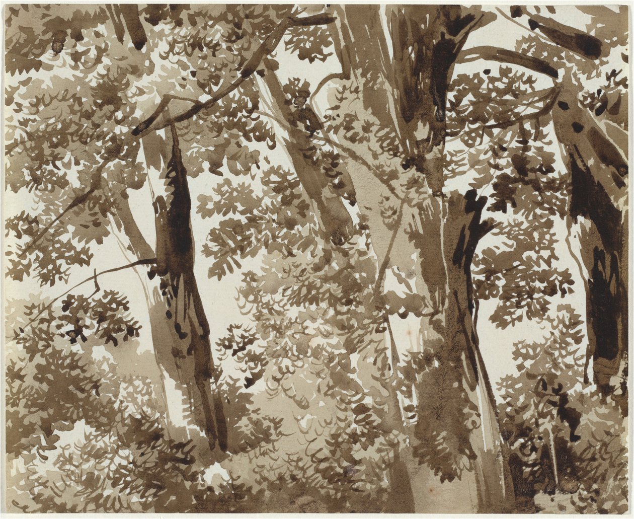 Trees with Dense Undergrowth by Franz Innocenz Josef Kobell