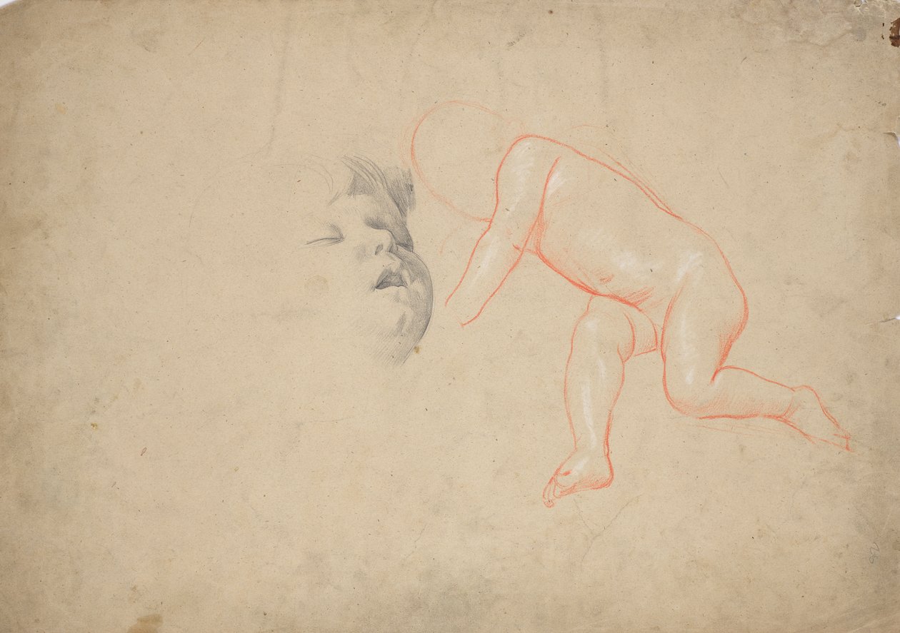Studies of a Toddler, a Sleeping Toddler