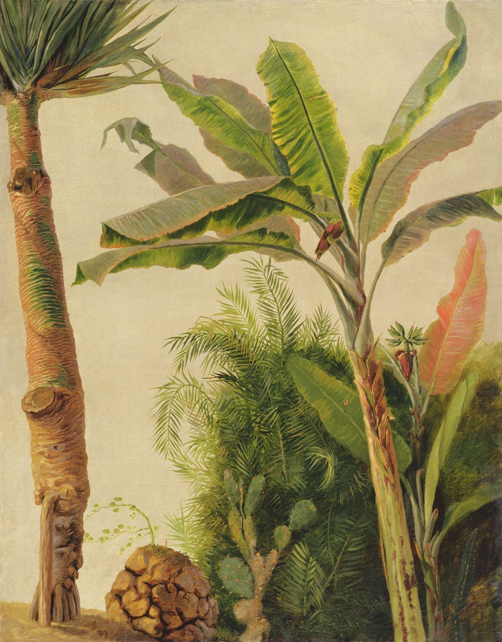 Banana Tree by Frederic Edwin Church