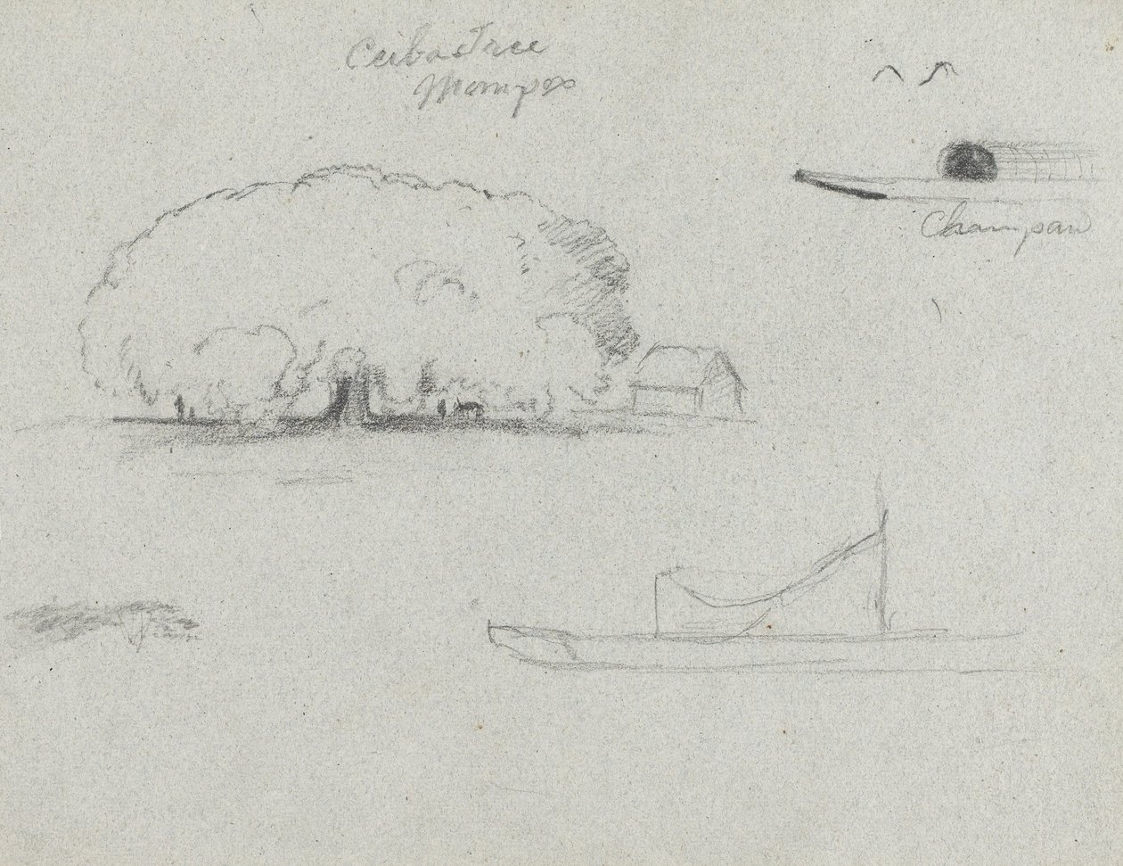 Ceiba Tree at Mompos, Champan Canoe, Trees, and a Partial Boat, Rio Magdalena, Colombia by Frederic Edwin Church