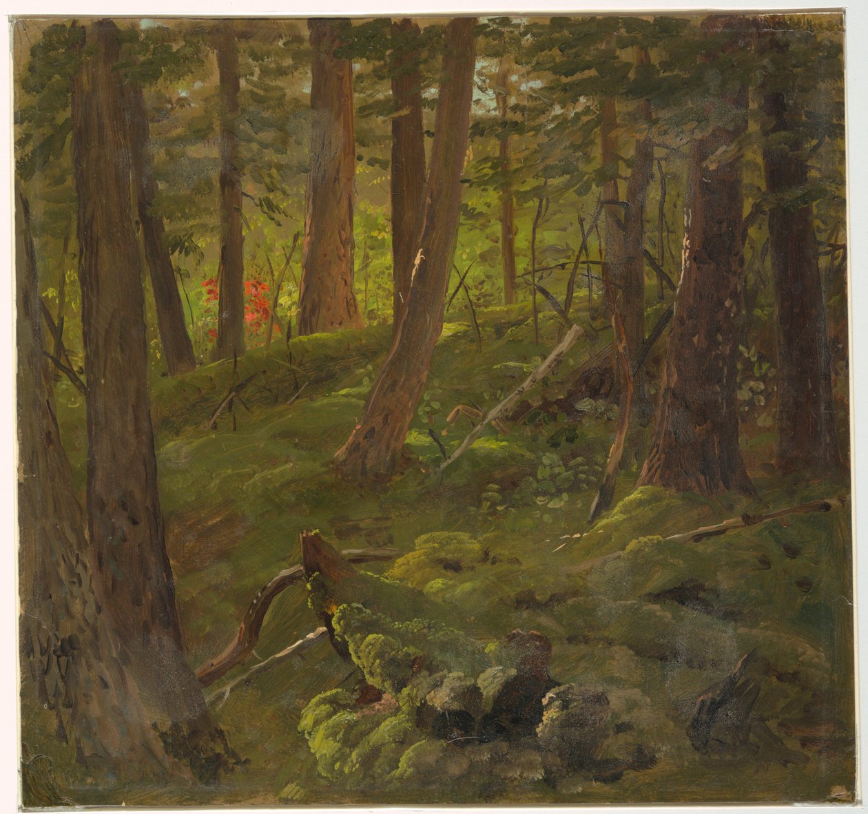 Drawing, Jungle Vegetation by Frederic Edwin Church