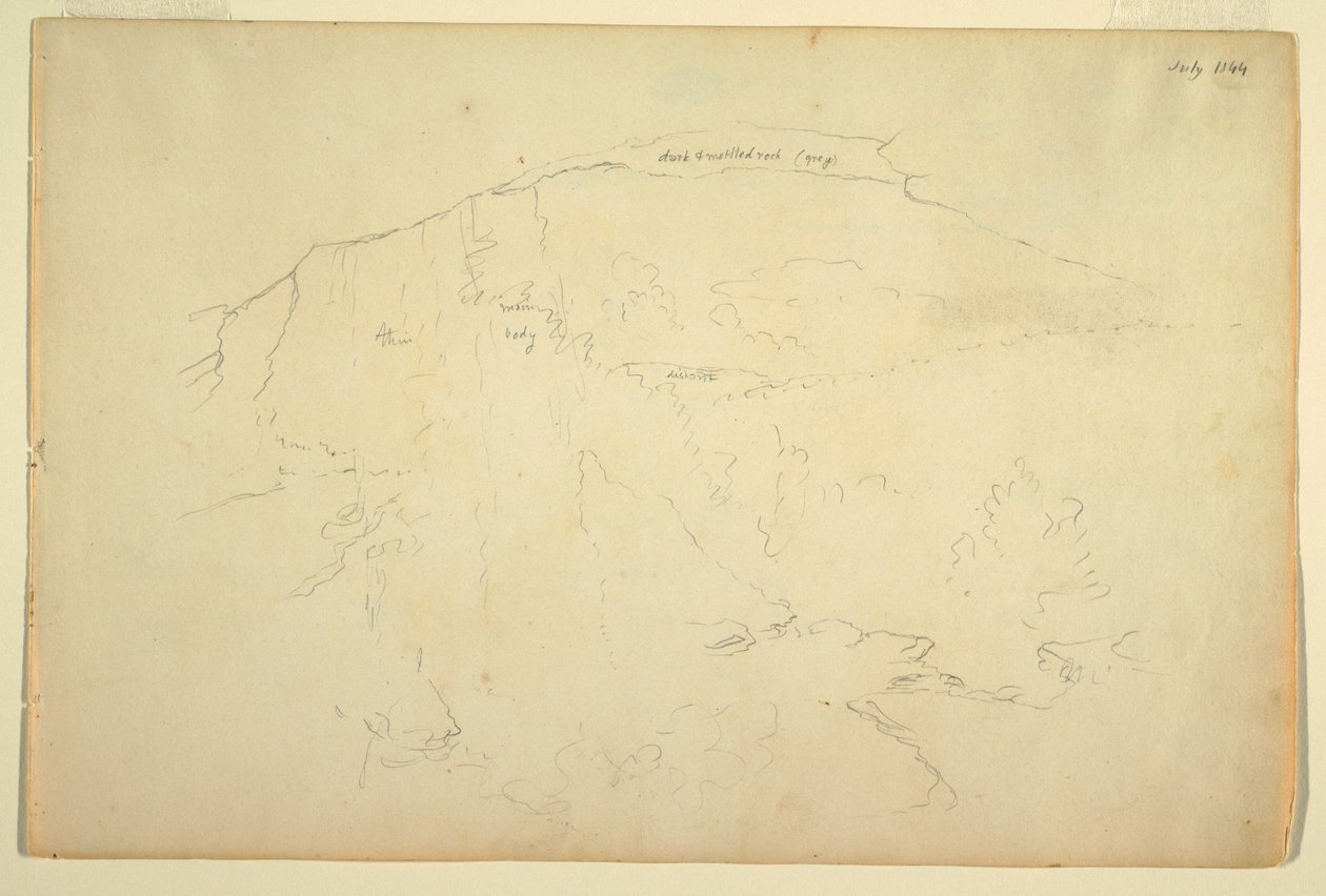 Wooded Hillside, Catskill Mountains, July 1844 by Frederic Edwin Church