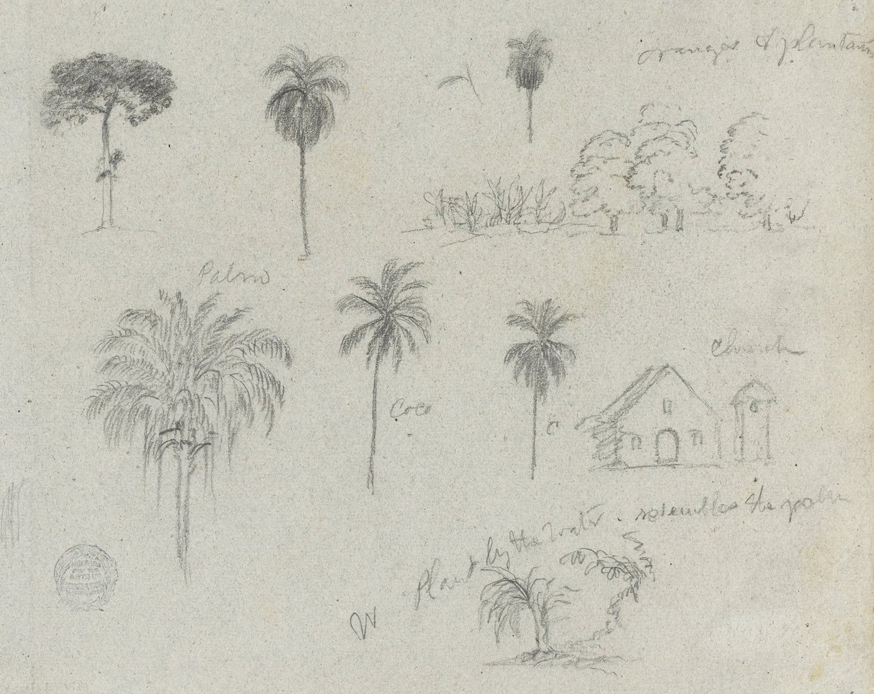 Sketches from the Rio Magdalena, Colombia: Botanical Sketches, A Church by Frederic Edwin Church