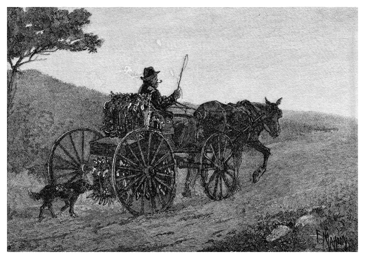 A Colac Rabbit Trapper, 1886 by Frederic B. Schell
