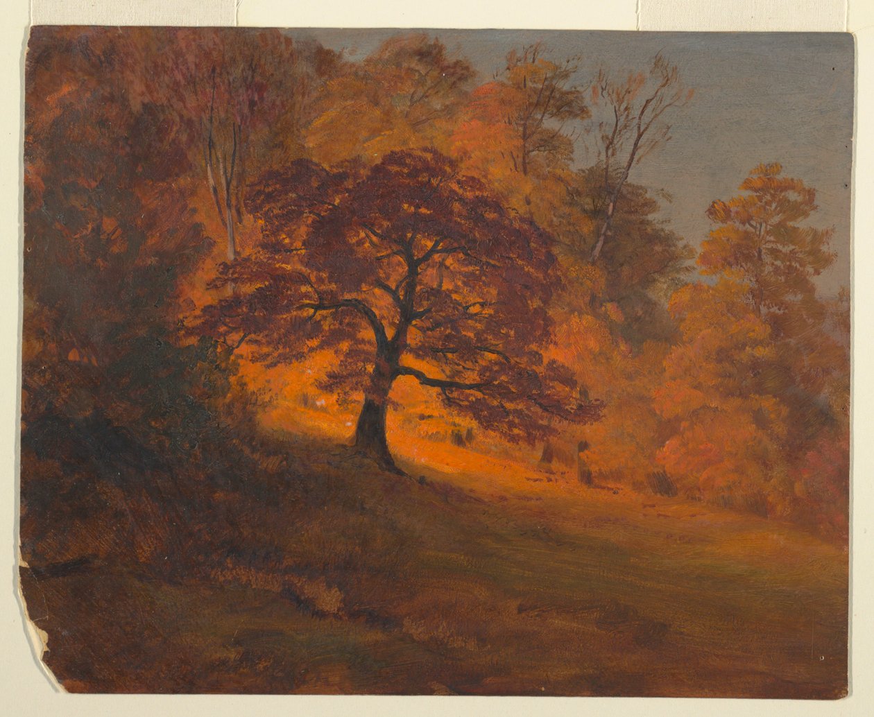 Autumn Foliage by Frederic Edwin Church