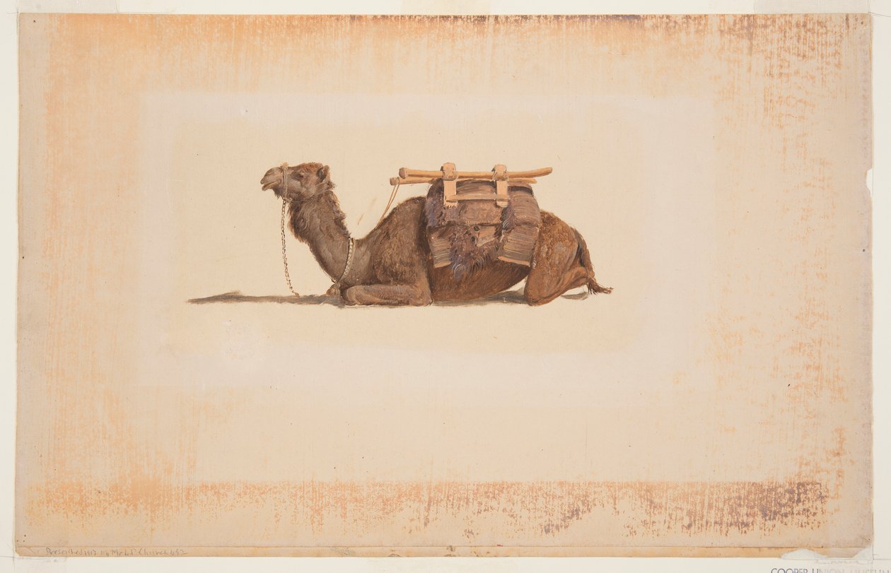 Crouching Dromedary by Frederic Edwin Church