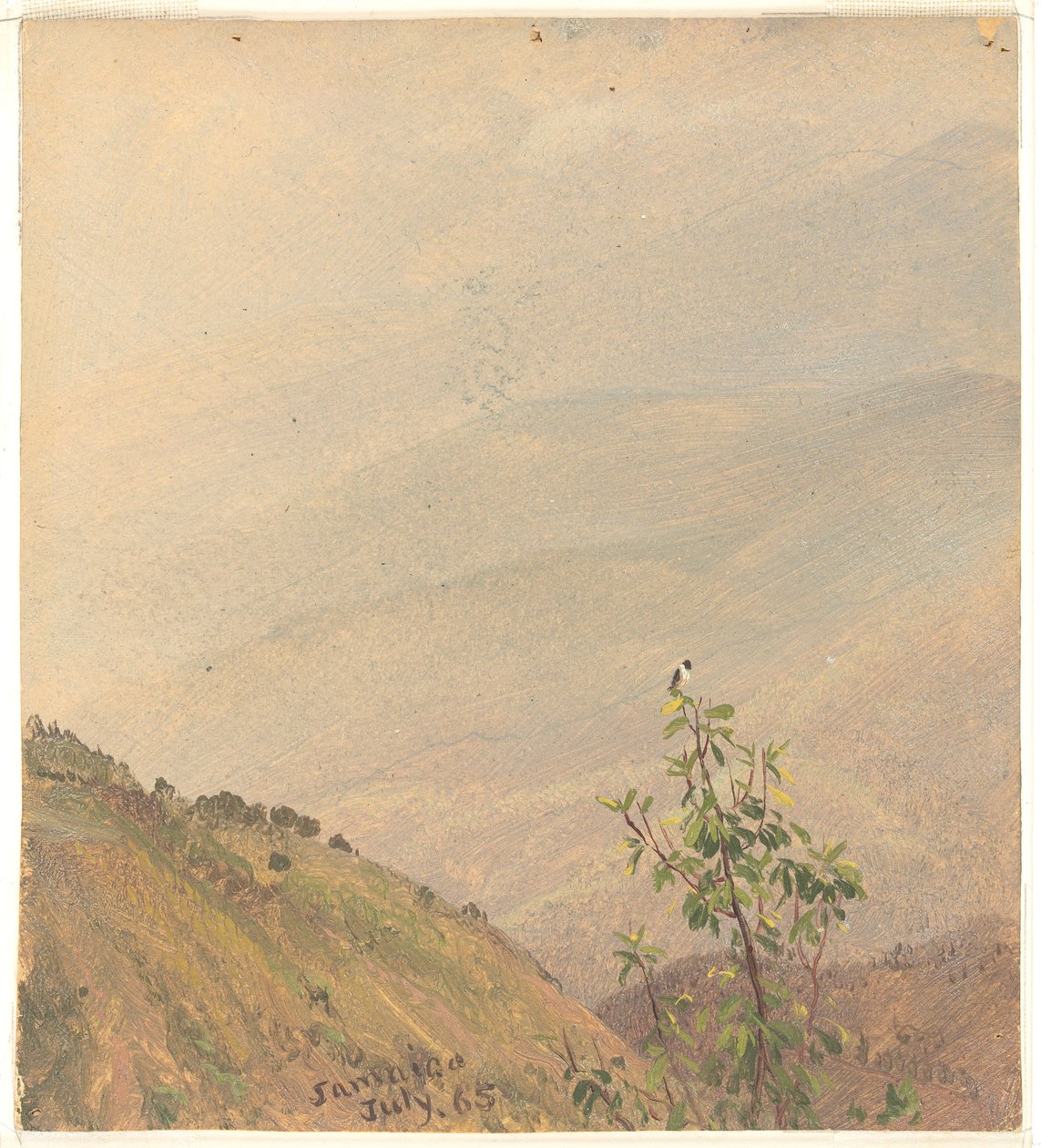Distant Hills, Jamaica by Frederic Edwin Church