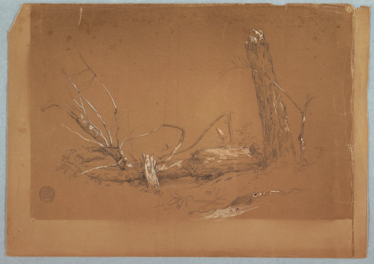 A Broken dead tree, 1855-65 by Frederic Edwin Church