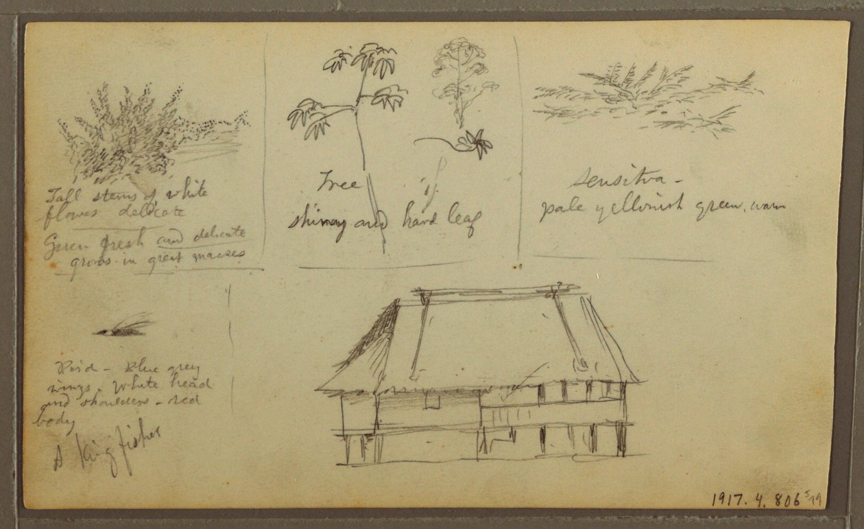 A Fort; Botanical Sketches, House, 1857 by Frederic Edwin Church