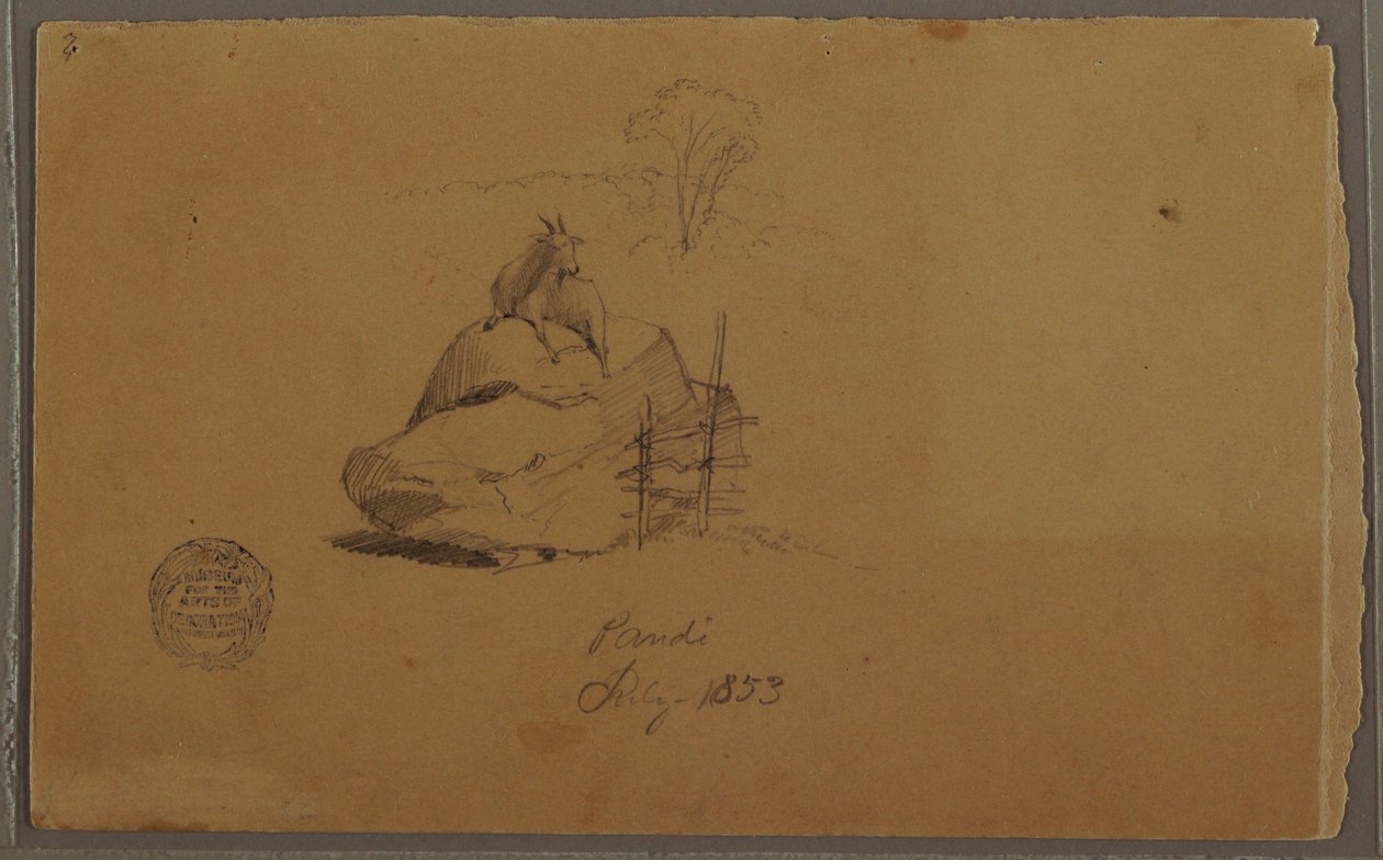 A Goat in Pandi, Colombia, July 1853 by Frederic Edwin Church