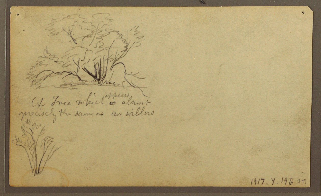 A Hut on Posts, Guayaquil, Ecuador, May 1857 by Frederic Edwin Church