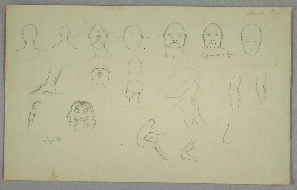 Anatomical Studies, 1865–70 by Frederic Edwin Church