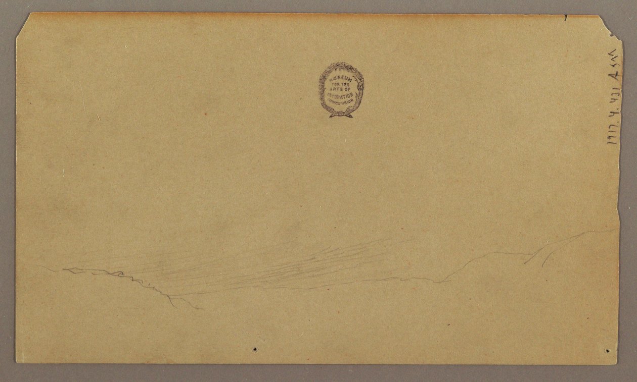 Botanical Sketches, August 1865 by Frederic Edwin Church