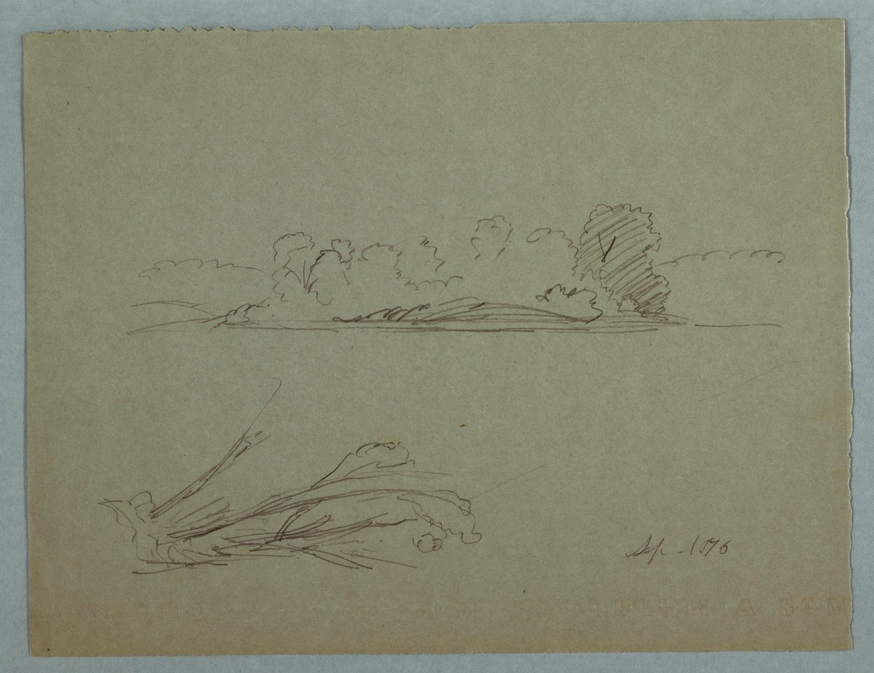 Botanical Sketches: Landscape, Trees at a Shore, September 1876 by Frederic Edwin Church