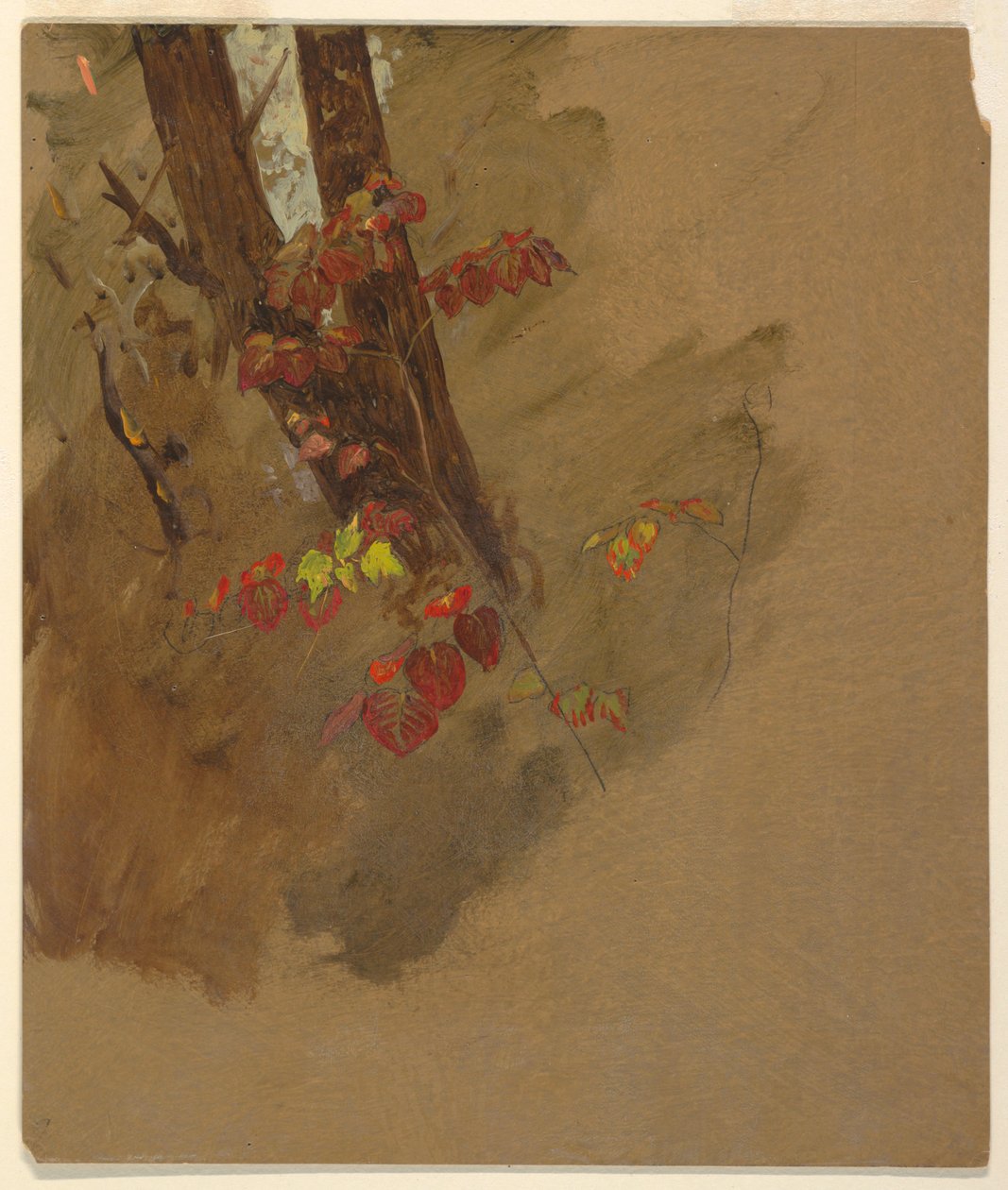Botanical Studies, 1860–70 by Frederic Edwin Church