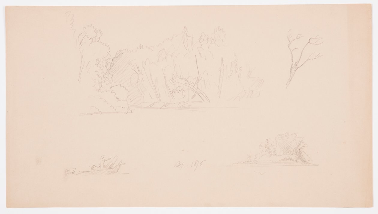 Botanical Sketches: Tree, Trees at Shore, September 1876 by Frederic Edwin Church