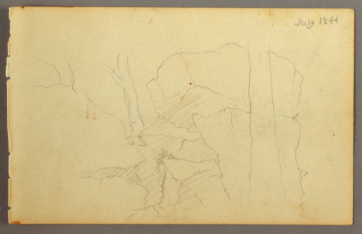 Boulders Among Trees, 1844 by Frederic Edwin Church