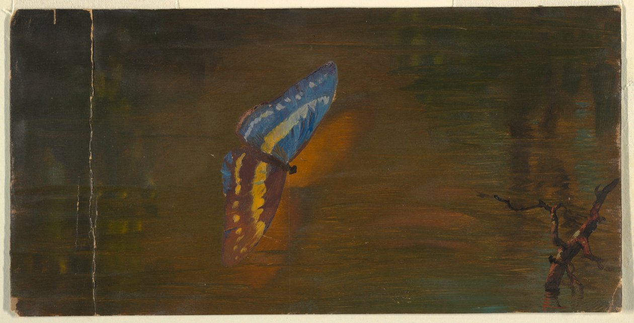 Butterfly over Water, ca. 1865 by Frederic Edwin Church