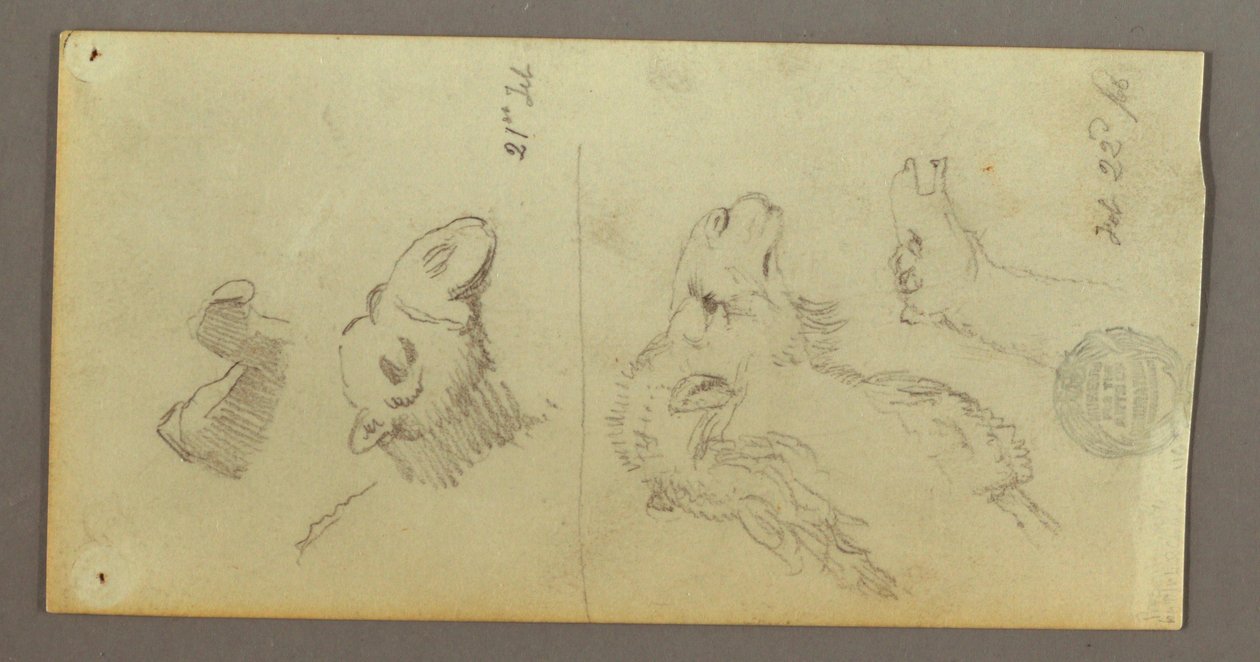 Camel Studies, February 21–22, 1868 by Frederic Edwin Church