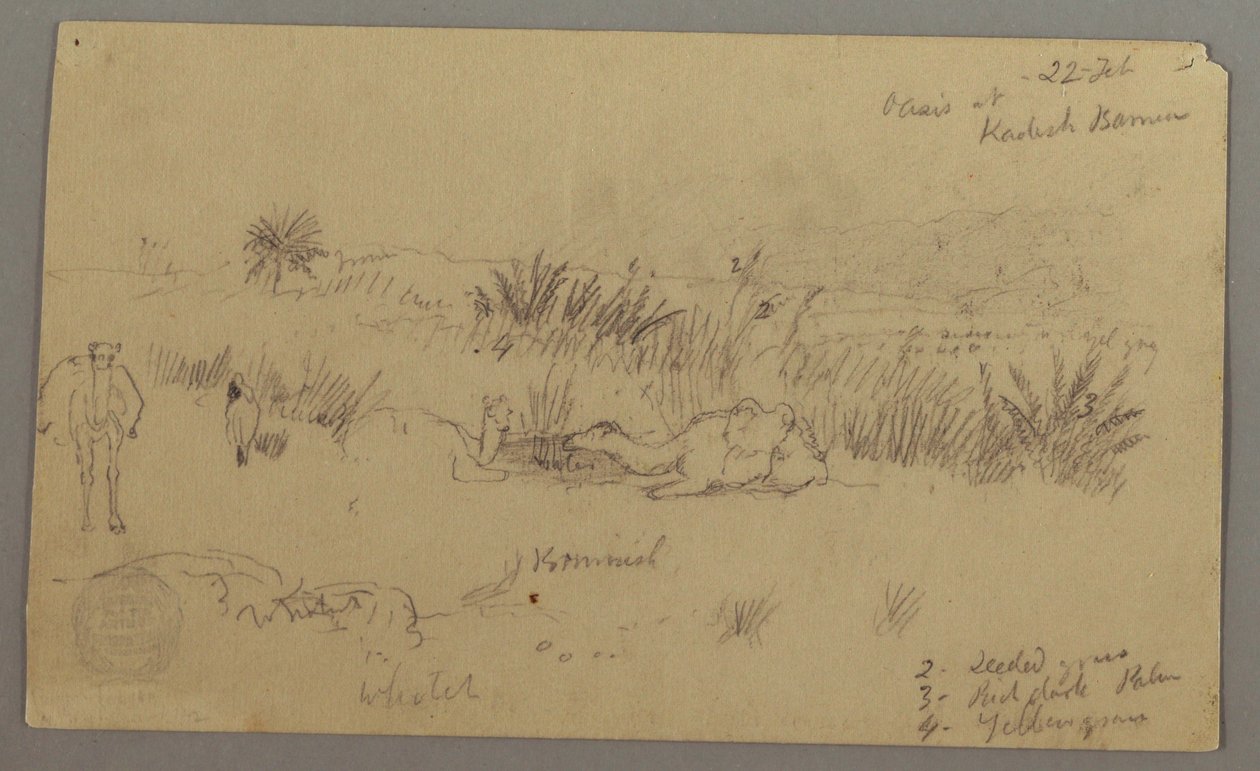 Camels Drinking on a Hill, February 22, Possibly 1868 by Frederic Edwin Church