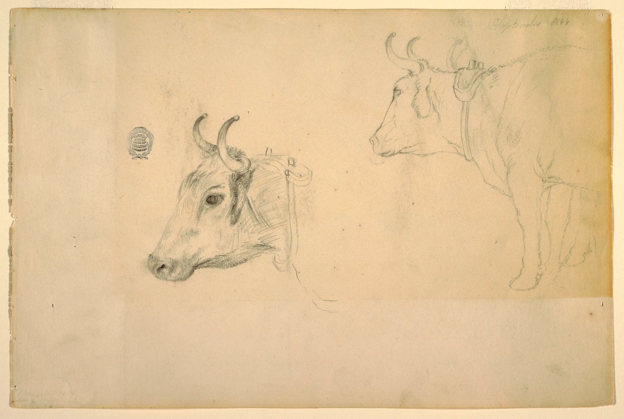 Cattle, September 1844 by Frederic Edwin Church
