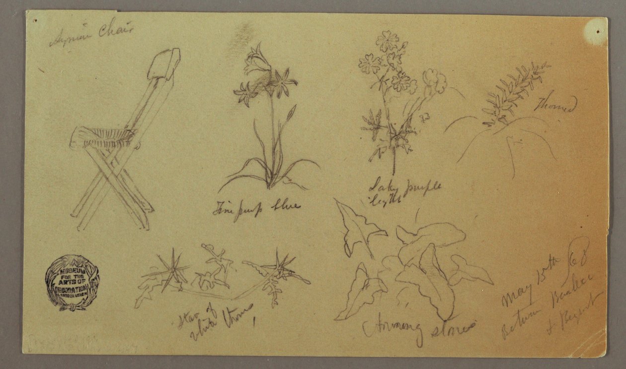 Chair and Plant Studies, May 15, 1868 by Frederic Edwin Church