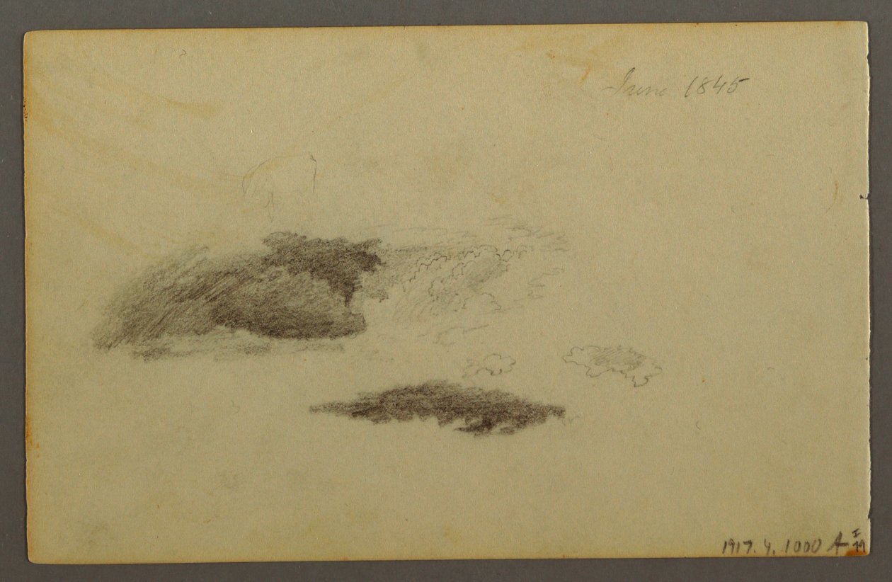 Decayed Birch by Frederic Edwin Church