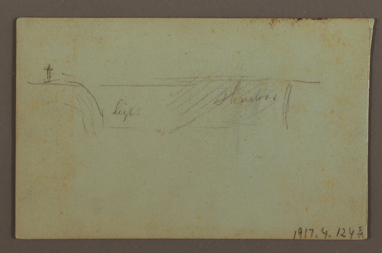 Flowering Plant and a Rock between the American and Canadian Falls at Niagara, possibly 1858 by Frederic Edwin Church