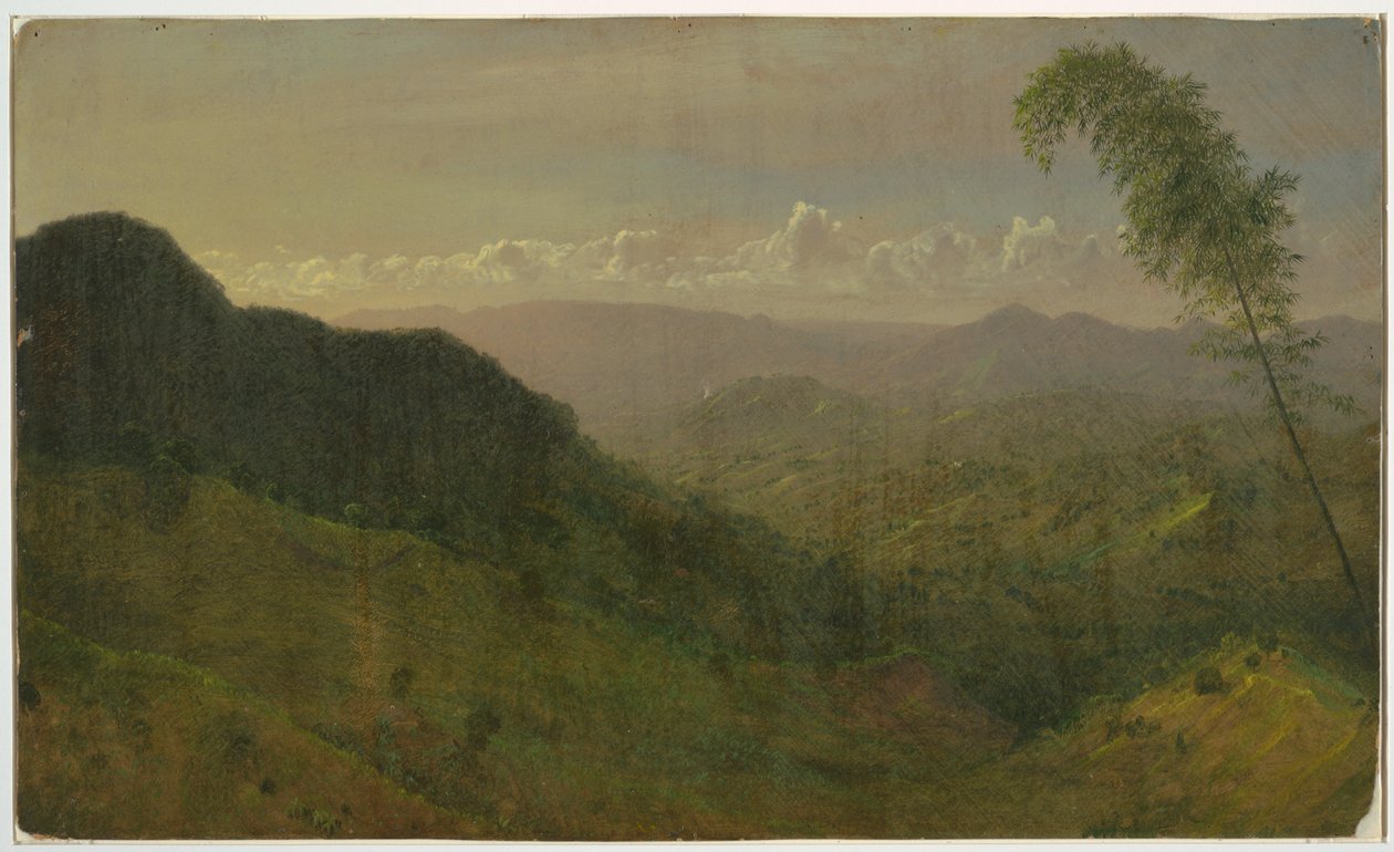 Hilly Landscape, 1865 by Frederic Edwin Church