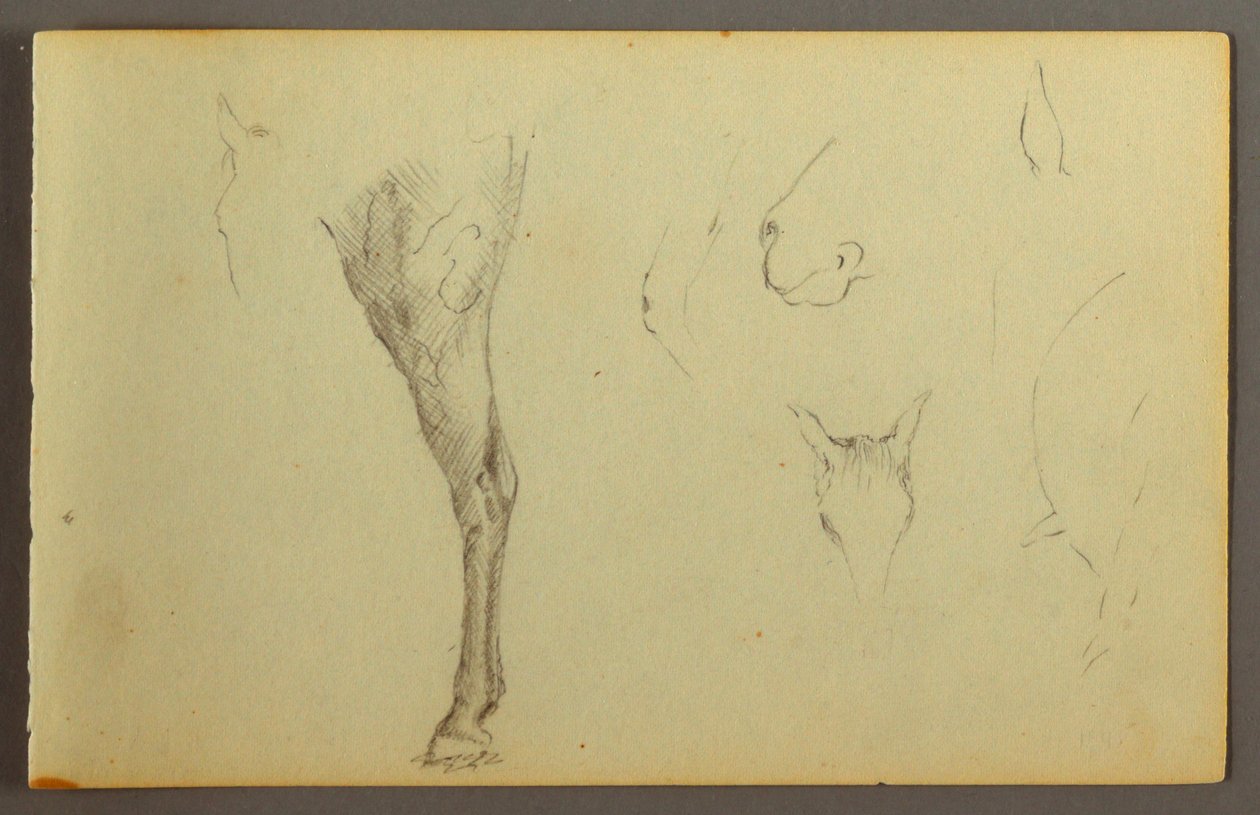 Horse Studies, possibly 1844 by Frederic Edwin Church